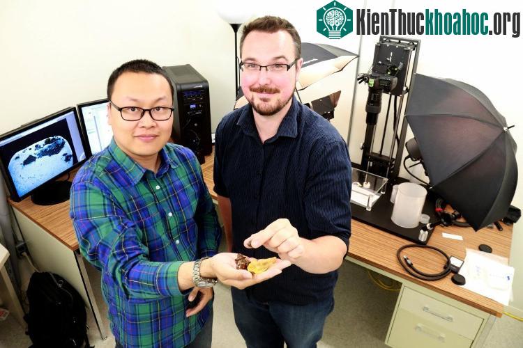 Chiếc đuôi của con vật thuộc phân nhóm khủng long chân thú