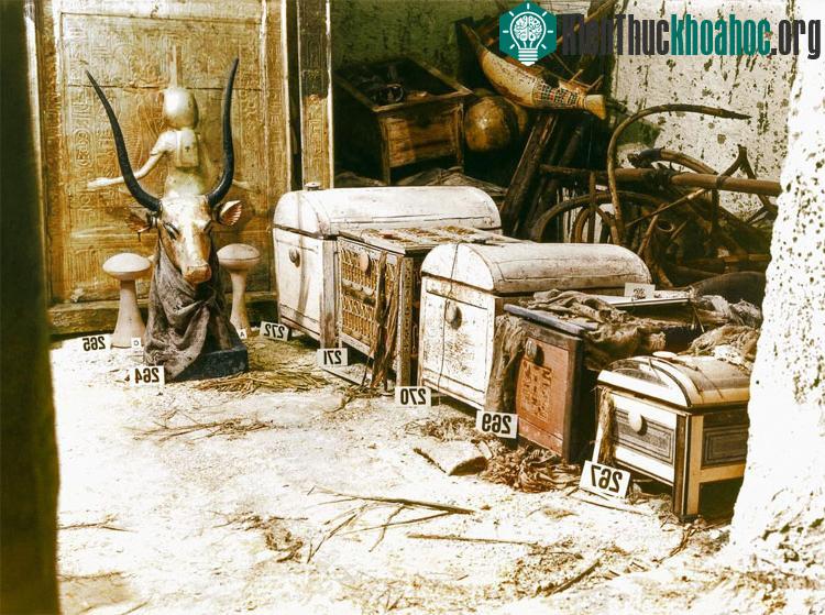 Một bức tượng bán thân mạ vàng của thần Mehet-Weret và những chiếc rương chứa châu báu trong mộ.