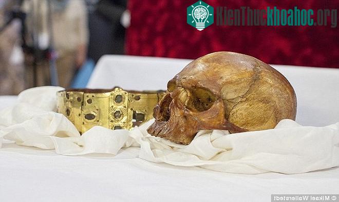 Theo Eurek Alert, dự án hợp tác nghiên cứu do Đại học Uppsala, Thụy Điển, đứng đầu hé lộ nhiều chi tiết về tình trạng sức khỏe, hình dáng, nơi sinh sống và cái chết của Thánh Erik. (Ảnh: Mikael Wal...