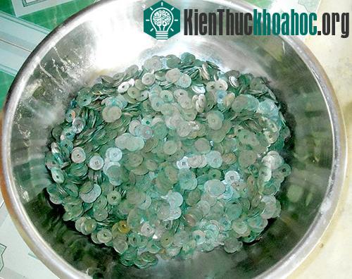 Tổng trọng lượng số xu tiền cổ được phát hiện là 15kg.