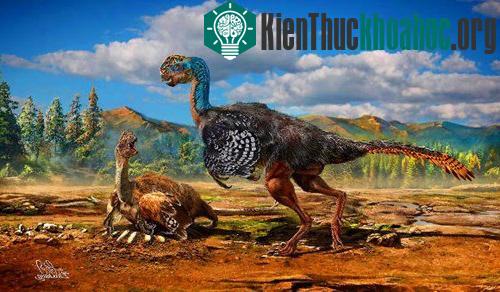 Huanansaurus ganzhouensis là một con khủng long hai chân nhỏ với một cái mỏ giống loài vẹt và hộp sọ của nó có mào - (Ảnh: Sci-News)
