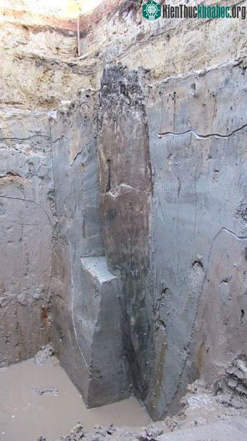 Phát hiện thêm 1 cọc gỗ tại khu bãi cọc Bạch Đằng. (Ảnh: Quangninh.gov.vn)