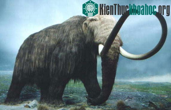 Ảnh minh họa: ryot.org