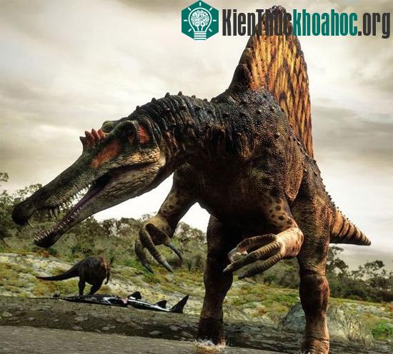 Khủng long khổng lồ Spinosaurus. (Ảnh: BBC)