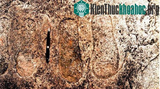Ảnh:&nbsp;adguk-blog.com