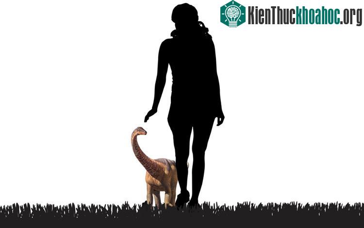 Ảnh minh họa kích cỡ của con Rapetosaurus sơ sinh và con người.