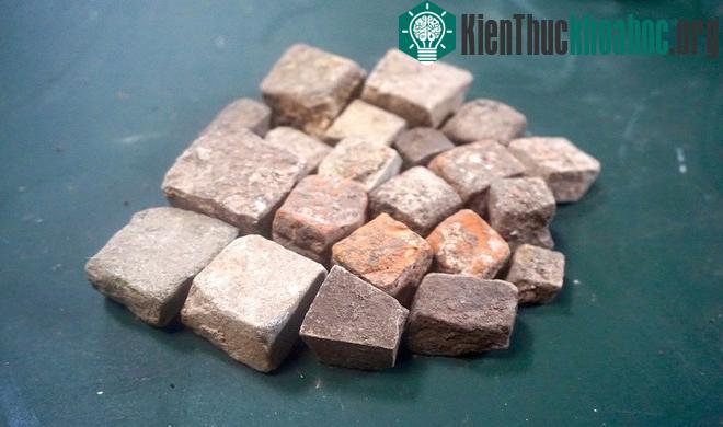 "Việc thực sự tìm ra thứ gì đó như thế quả là phi thường. Bạn sẽ cảm thấy vô cùng bất ngờ", Irwin chia sẻ.