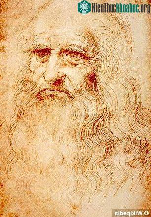Chân dung danh họa Leonardo da Vinci trong bản vẽ Da Vinci do Francesco Melzi vẽ.
