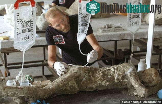 Sự thật đằng sau phôi tượng ám ảnh về một đứa trẻ trên bụng mẹ