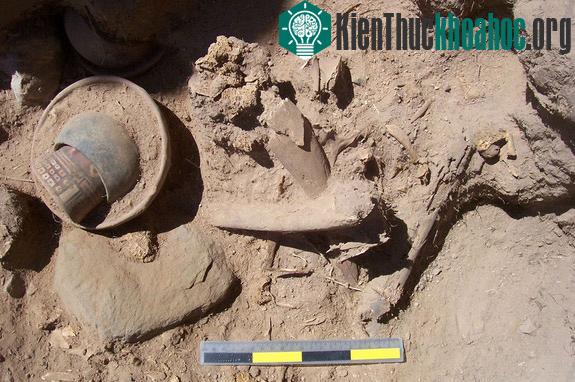 Phát hiện hàng chục ngôi mộ chứa trăm xác ướp cổ 1.200 năm tuổi ở Peru