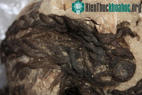 Phát hiện cách tết tóc lạ của người Ai Cập cổ