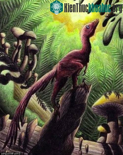 Con Jinfengopteryx elegans, biệt danh “Mắt đói” đậu trên một khúc gỗ nhắm đến con mồi một cách thèm khát