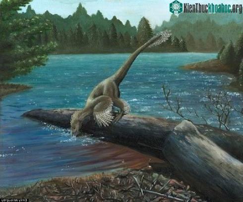 Khám phá khủng long "bọc thép" chưa từng được biết đến