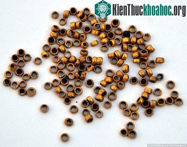 Phát hiện kho báu "khủng" của người Thrace tại Bulgaria ảnh 2