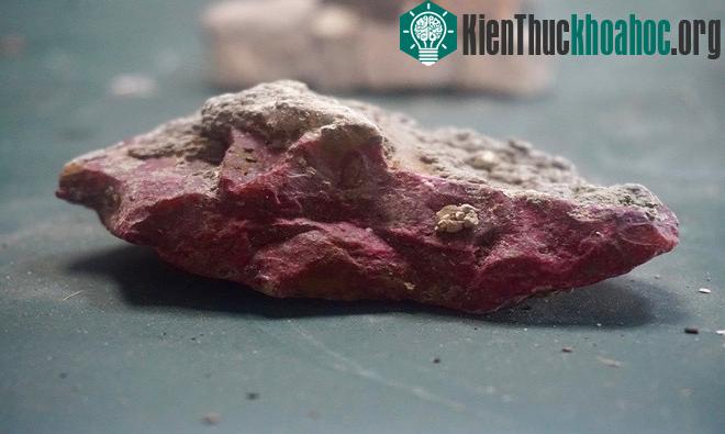 Không nghi ngờ gì, đây là một khu vực có giá trị khổng lồ về mặt nghiên cứu, với tiềm năng khám phá to lớn.