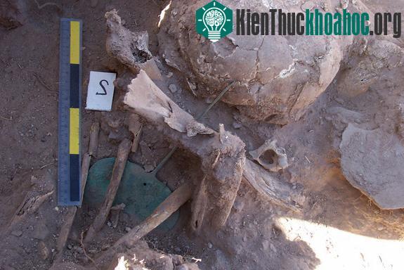 Phát hiện hàng chục ngôi mộ chứa trăm xác ướp cổ 1.200 năm tuổi ở Peru