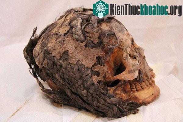 Phát hiện cách tết tóc lạ của người Ai Cập cổ