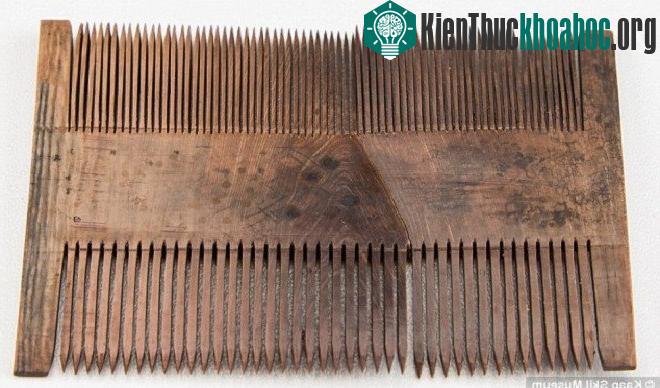 Váy dạ hội hoàng gia vẹn nguyên sau 400 năm dưới đáy biển ảnh 8
