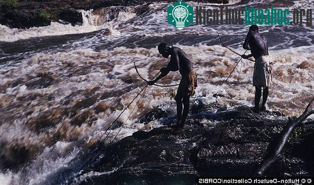 Loài người biết ăn thực vật từ 180.000 năm trước