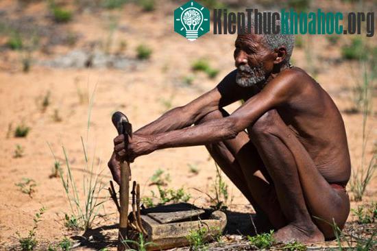 Nghiên cứu cho thấy người San đã tách ra khỏi các cộng đồng người châu Phi khác khoảng 130.000 năm trước. (Ảnh: iStockphoto/Giuseppe Masci)