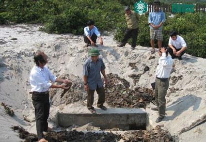 Khai quật mộ cổ