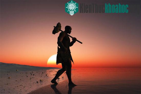 Nghiên cứu của các nhà khảo cổ học tại ĐH York&nbsp;về dáng đi hai chân của tổ tiên xa xưa của loài người&nbsp;thách thức những giả thuyết truyền thống.