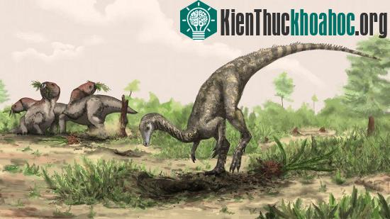 Không phải khủng long nào cũng hùng mạnh như&nbsp;loài bạo chúa&nbsp;