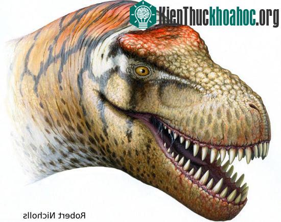 Tìm thấy họ hàng của khủng long bạo chúa ảnh 0