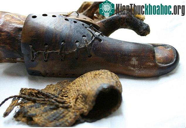 Ngón chân cái giả được chứng minh hỗ trợ việc đi lại của người mang