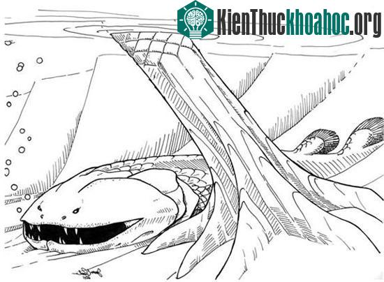 Phác họa cá Laccognathus embryi
