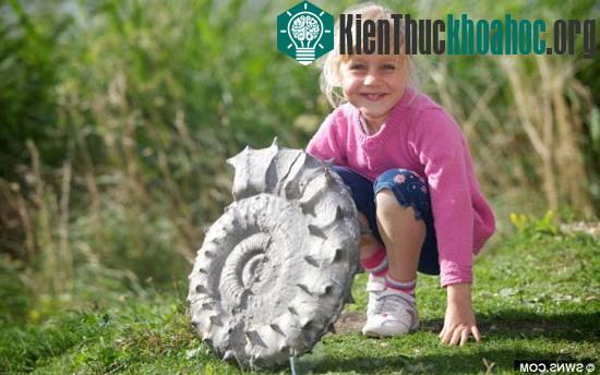Bé Emily, bây giờ 6 tuổi, và chiếc vỏ hóa thạch hiếm.