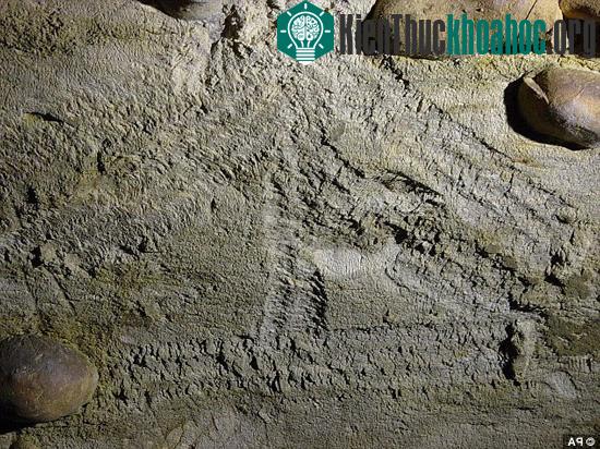 Một số hình vẽ trên cao chứng minh rằng những đứa trẻ đã được người khác làm cho hoặc ít nhất cũng được ngồi trên vai một ai đó. (Ảnh: Daily Mail)