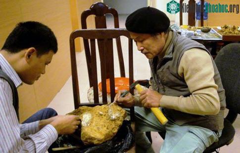 Tiến sĩ khảo cổ Vũ Thế Long (trái) cùng các chuyên gia xem xét, phân tích các mẫu hóa thạch vừa tìm thấy.