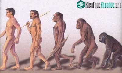 Giả thuyết mới về hướng di cư của người cổ đại ảnh 1