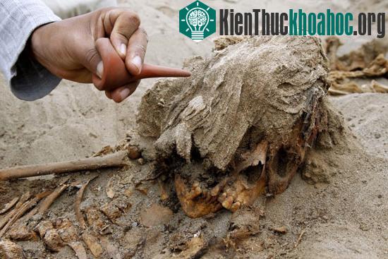 Những bộ xương người và động vật được tìm thấy trên một cồn cát ven biển phía bắc Peru.