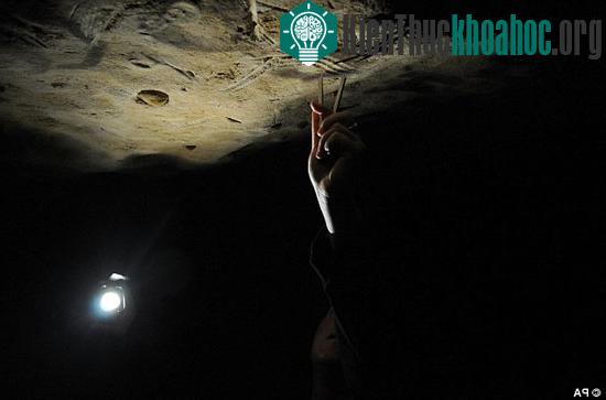Một số hình vẽ trên cao chứng minh rằng những đứa trẻ đã được người khác làm cho hoặc ít nhất cũng được ngồi trên vai một ai đó. (Ảnh: Daily Mail)