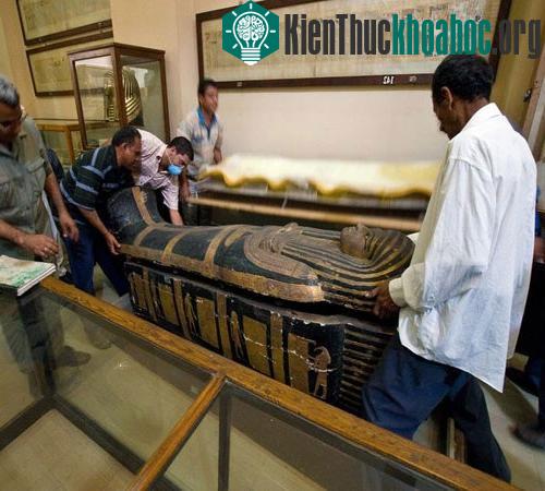 Khám bệnh cho xác ướp ảnh 2