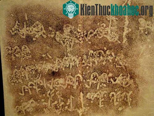 Bí ẩn chữ viết thời Hùng Vương ảnh 2