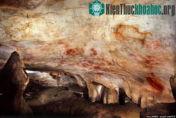 Xuất hiện nhiều màu sắc khác nhau trên bức vẽ.