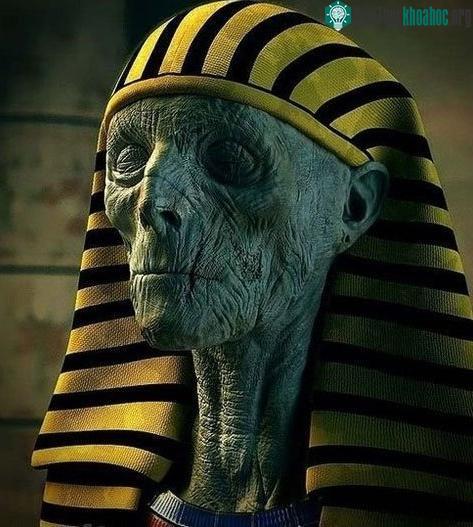 Xác ướp vua Ramesses