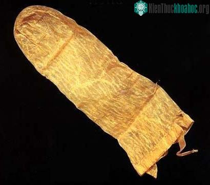 Bao cao su cổ nhất thế giới (Ảnh: Ananova)