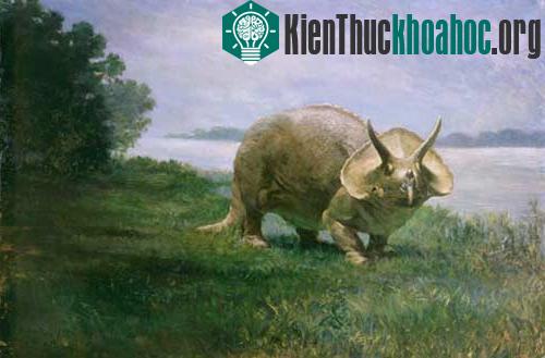 Viện bảo tảng lịch sử tự nhiên quốc gia Smithsonian’s đã cung cấp bức ảnh khủng long ba sừng của nhà nhiếp ảnh charles R.Knight’s (1874-1954).