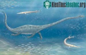 Dinocephalosaurus
