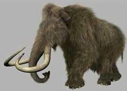 Manmuthus