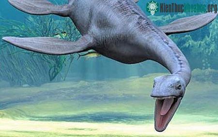 Tìm thấy xương của 'thủy quái' tại Anh ảnh 0