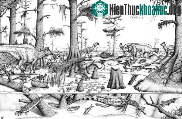 Cạnh tranh làm xuất hiện loài khủng long mới tại Tây Bắc Alberta ảnh 0