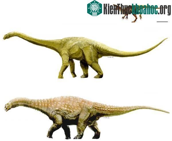 3 hóa thạch mới đưa Úc trở lại bản đồ khủng long ảnh 0
