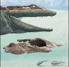 Phát hiện hóa thạch sinh vật 4 chân nguyên thủy nhất ảnh 0