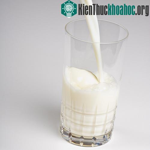Con người yêu sữa từ 6000 năm trước công nguyên ảnh 0