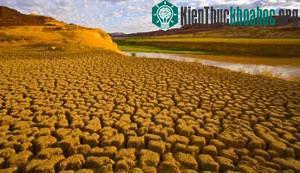 Loài người suýt bị tuyệt chủng ảnh 0
